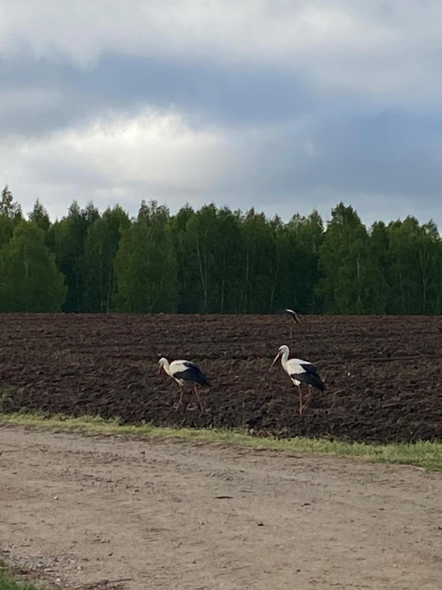 Mazurska Stodola Na Polwyspie Pilchowskim Pilchy ภายนอก รูปภาพ
